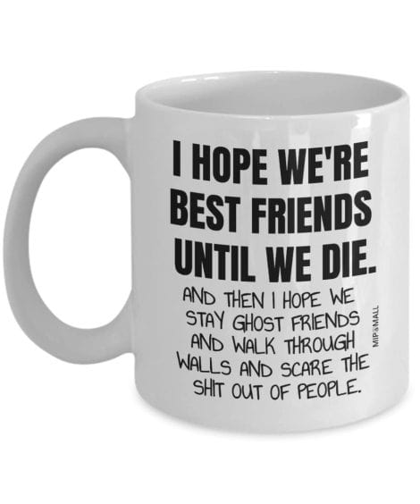 Funny Friendship Mug – Perfect Gift for Best Friends, Christmas, Birthday, Sisters, Mothers Day.