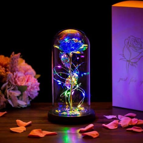 Eternal Galaxy Light Beauty and the Beast Rose Flower Kit – Perfect Gift for Valentine’s or Special Occasions.