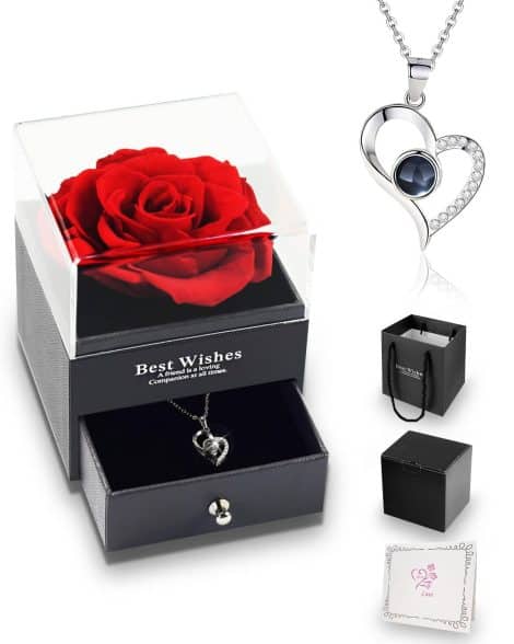 Andizun Preserved Rose Gifts for ladies: a charming gift box with an “I Love You” necklace and handmade eternal real rose; perfect for birthdays, anniversaries, and special occasions.