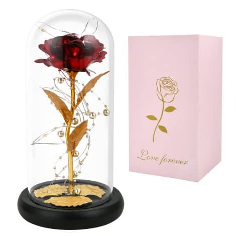 GARELF Rose Gift for Her – the perfect birthday or Valentine’s gift for women, including moms. Available in red.