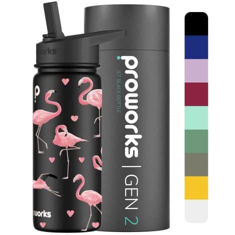 Proworks Gen 2 Insulated Water Bottles with Straw Lid: Jet Black Flask to Keep Drinks Cold or Hot for Long Hours – Perfect for Work, Gym, and Travel