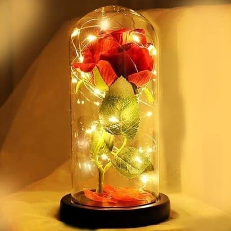 Saffri LED Lights Red Rose Gift in Glass Dome – Ideal Present for Partner on Special Occasions