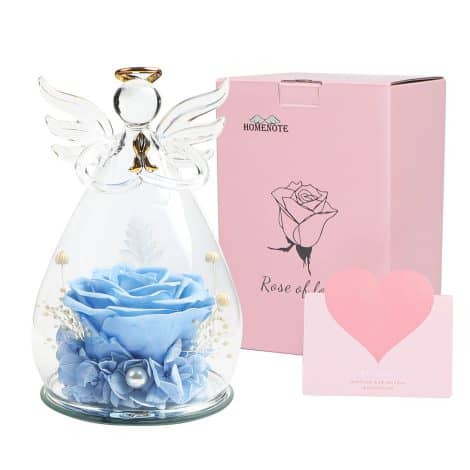 6.6-inch Qidordour Preserved Rose, a beautiful gift for your loved ones on special occasions.