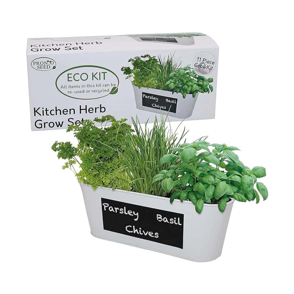 Pronto Seed Grow Your Own Herbs Kit Indoors - Basil, Parsley and Chive Seeds, Metal Chalk Board Kitchen Herb Planter & Soil - Christmas,Gardening Gifts for Women and Men