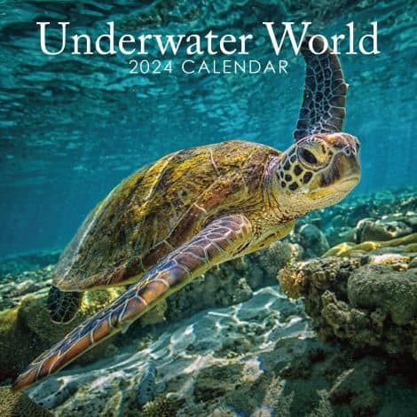 2024 Sea Life Hanging Wall Calendar – Plastic-free, Organiser, Family Planner, Ocean-themed Schedule – Perfect Gift.