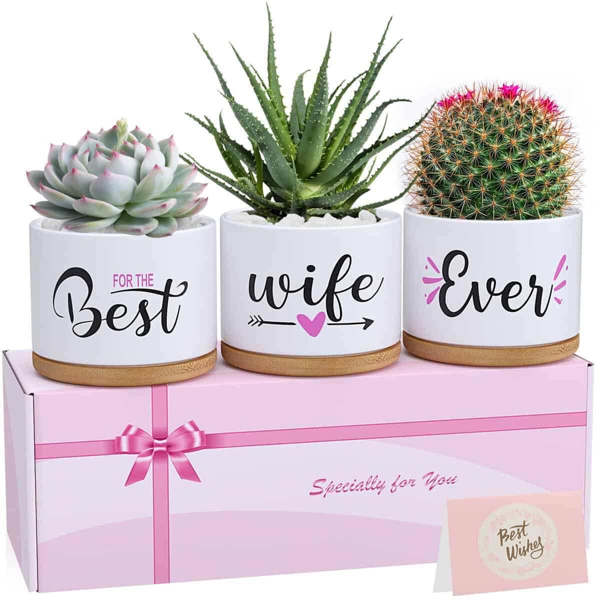 Valentines Day Birthday Gifts for Wife from Husband, Unique Anniversary Wedding Valentines Day Gifts for Her, Best Wife Ever Succulent Pots for Plants Indoor & Outdoor, Arrive Beautifully Gift Boxed