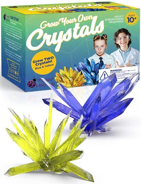 Purple Ladybug’s Crystal Growing Kit lets kids grow their own 2 large crystals in yellow and blue. Ideal gift for 10-12-year-olds. Perfect science kit for kids aged 10 and up.