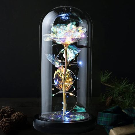 Veryhome Christmas Flowers Gifts – Galaxy Rose in Glass Dome, perfect Christmas Decoration for her on Valentine’s Day, Anniversary and Mother’s Day.