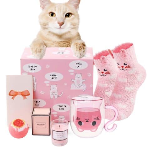 Luka Tech Double Wall Glass Lovely Kitty Tea Cup Coffee Mug, Quirky Presents for Her, Mum, and Friends.