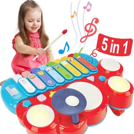 hahaland Baby Musical Instruments – A versatile set of toys for 1-6 year old boys and girls.