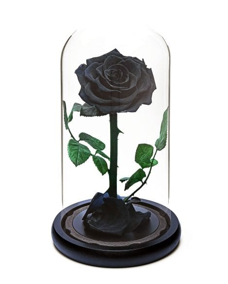 Black Forever Rose; Handcrafted, Preserved for 5 Years. Unique, Unusual Gift for Women’s Birthday, Mother’s Day, Anniversary, Christmas, Valentine’s Day.