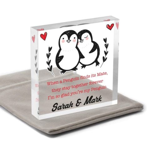 Penguin Love Match Personalised Presents for Partner – Ideal for Valentine’s, Birthdays, or Anniversaries – Penguin Pair keepsake with Bag.