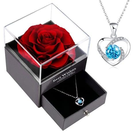 JN JANPRINT Everlasting Rose Necklace in a Gift Box – A heartfelt and romantic gift for ladies. Perfect for special occasions!