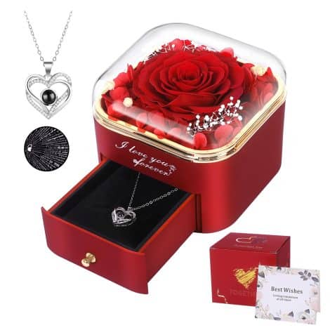 “Eternal Love Necklace: Preserved Red Rose with ‘I Love You’ in 100 Languages; Perfect Gift for Her.”