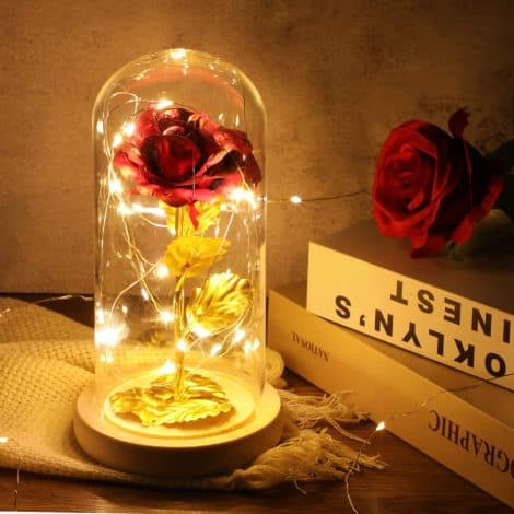 ADAZ 24K Everlasting Rose in Glass Dome with LED Light Strip for Mother’s Day, Valentine’s, Anniversary.