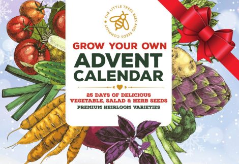 2023 Gardening Gift Advent Calendar: Seeds, Twine, Clips for Display – Perfect for All Ages and Families.