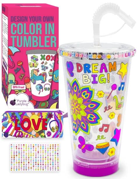 Design Your Own Purple Ladybug Tumbler Craft Kit – Ideal Gift for 10-yr-old girls, ages 4 & up.