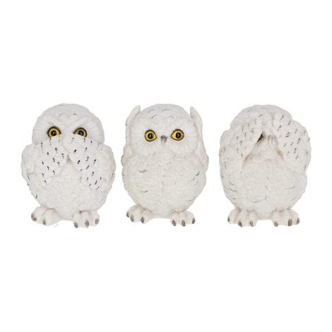 Nemesis Now’s 8cm White Three Wise Owls Figurine: a majestic and wise addition for your home.