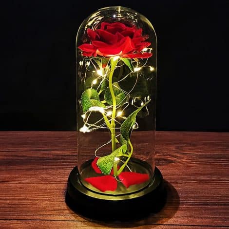 Enchanted Red Silk Rose with LED Light in Glass Dome is the perfect forever gift for her.