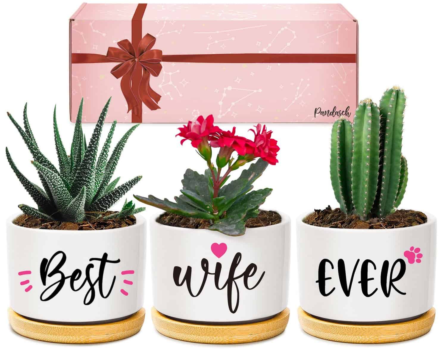 Wife Birthday Gifts, Valentines Gifts for Wife Her from Husband, Best Wife Succulent Pots, Unique Presents for Wife on Anniversary Wedding Christmas Mother's Day Valentines Day Gifts for Her Wife