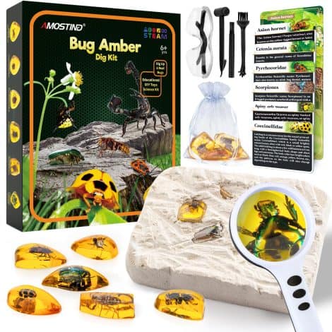 Amber Gemstone Dig Kit: Educational Science Kits for Kids Ages 6-10. Crystals and Gemstones Gifts.