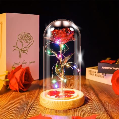 Beauty and The Beast Rose Lamp in a Glass Dome: A timeless gift for women, perfect for special occasions.