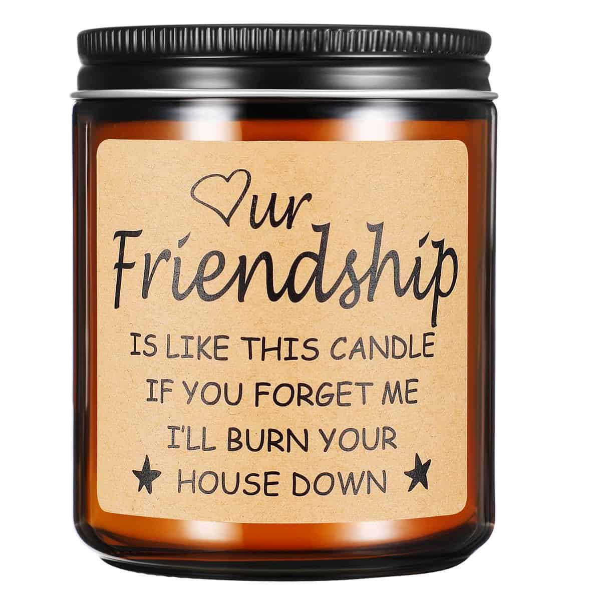 Funny Gifts for Friends,Gifts for Best Friend Women Men,Christmas Gifts for Friends,Funny Birthday Gifts for Friend,Friendship Gifts for Women Candle Gift (Friendship)