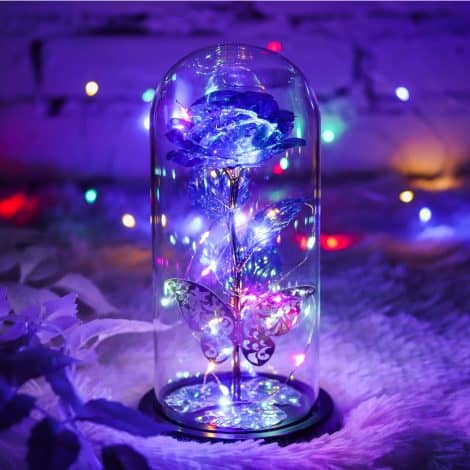 Eternal Rose with LED Light, the perfect Nan gift – Autrucker Beauty and The Beast Crystal Rose (Blue)