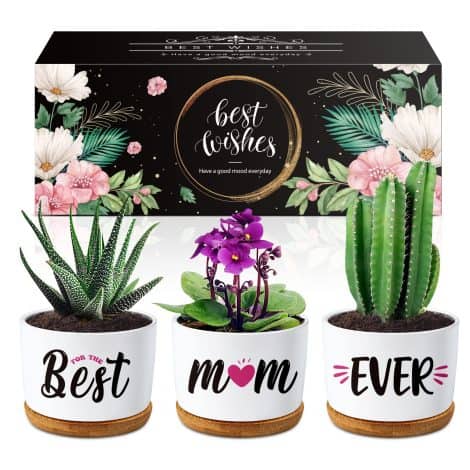 Beautifully packaged planters for Mum’s birthday or Christmas, perfect for new, step, or experienced Mums.