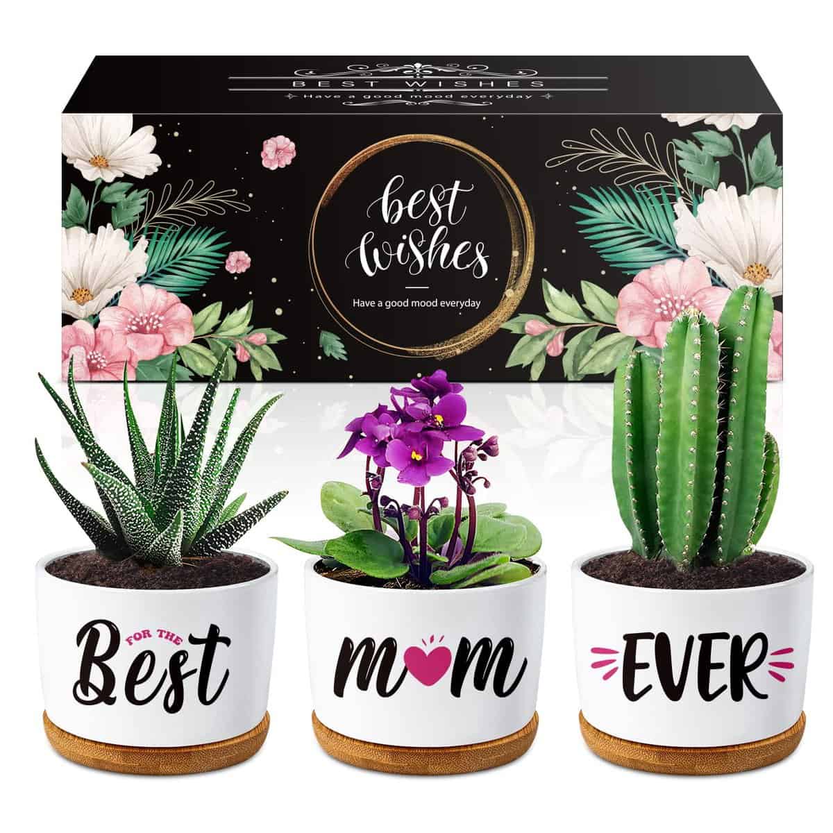 Gifts for Mum, for Mum Succulent Planters Pot, Mum Birthday Gifts from Daughter or Son, New Mum/Step Mum/Mummy Gifts for Birthday Christmas with Beautifully Gift Boxed