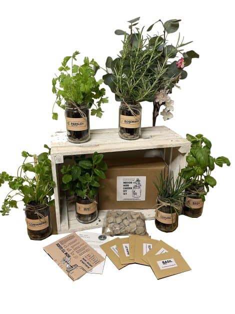 3 Jars of Rustic Indoor Herb Garden – Grow Your Own Kit. Perfect gift for anyone (Mint, Basil, Coriander).