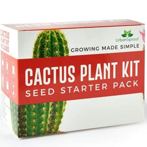 Indoor Cactus Growing Set – Unique Gardening Present – Includes Cactus Seeds, Pots, Soil – Great for Gifting – User-friendly Instructions.