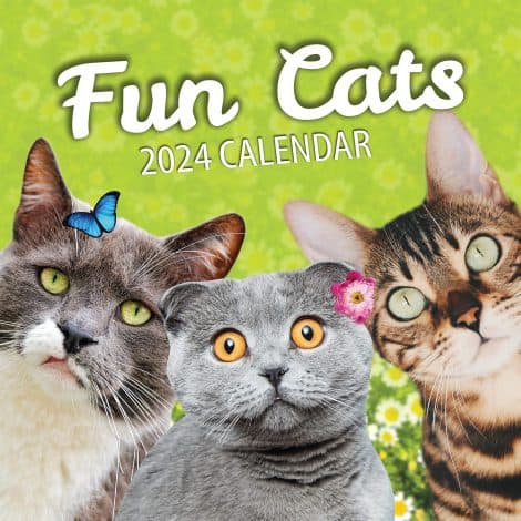 Humorous Cats Calendar 2024 – Spacious Family Organizer with Amusing Cat Pictures – Stylish Slim Design. Perfect Funny Cat Gift.