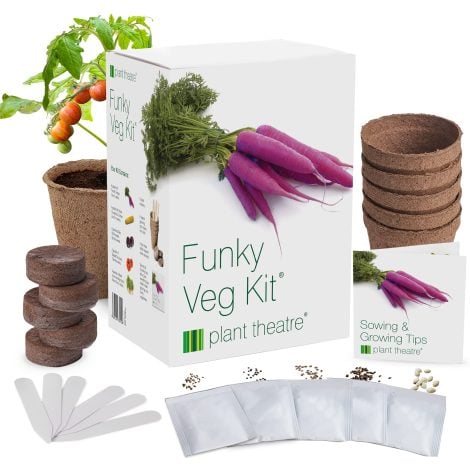 Plant Theatre Fun Veg Seeds Kit – Garden essentials with 5 seed sachets, pots, and peat. Perfect gift for gardeners.